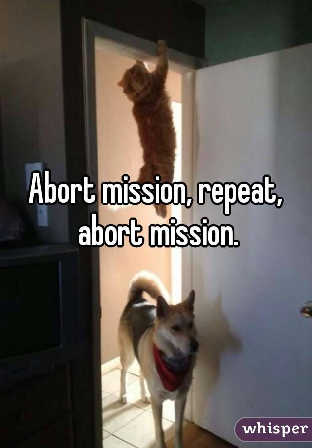 Abort mission, repeat, abort mission.