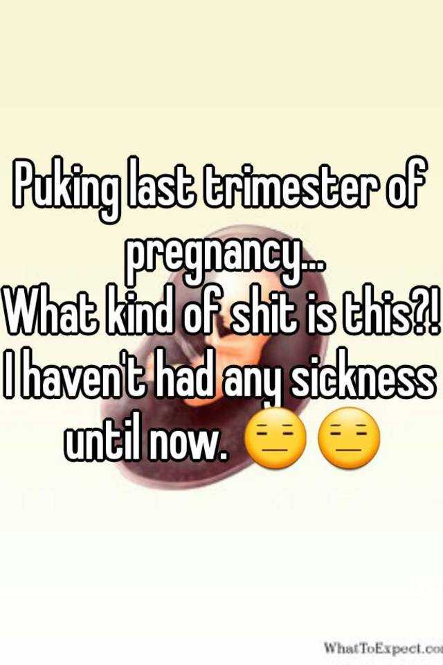 puking-last-trimester-of-pregnancy-what-kind-of-shit-is-this-i