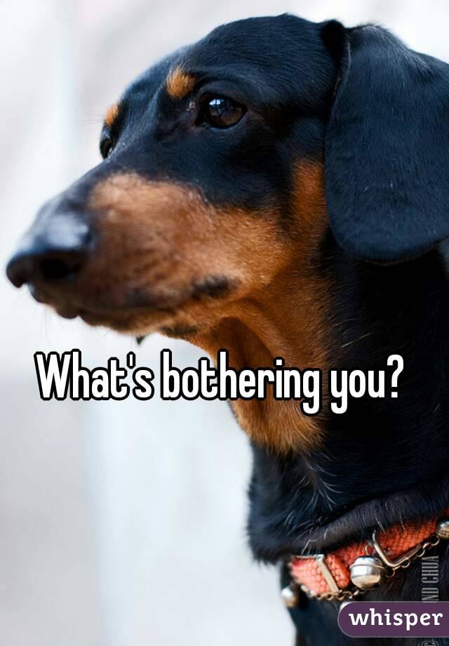 What's bothering you?