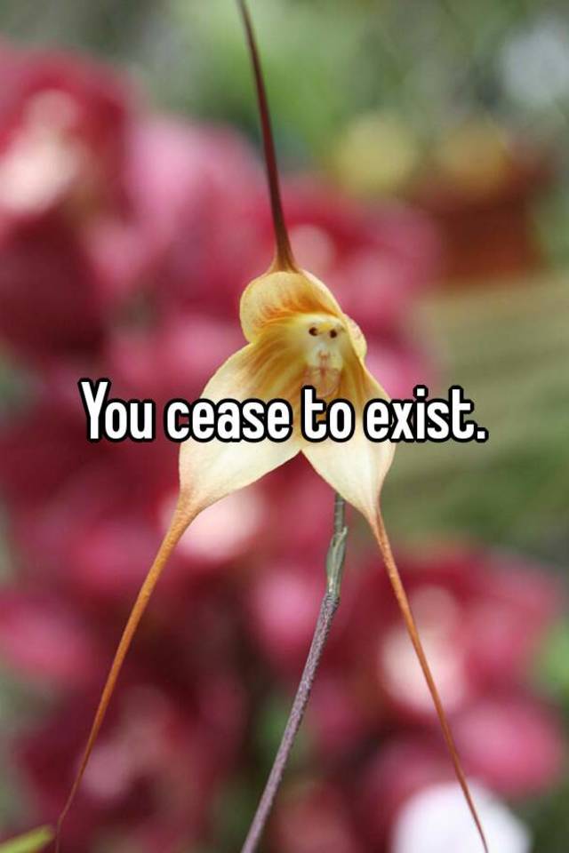 you-cease-to-exist