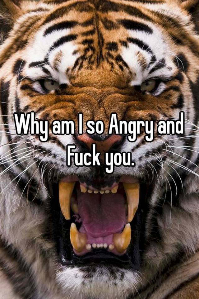 why-am-i-so-angry-and-fuck-you