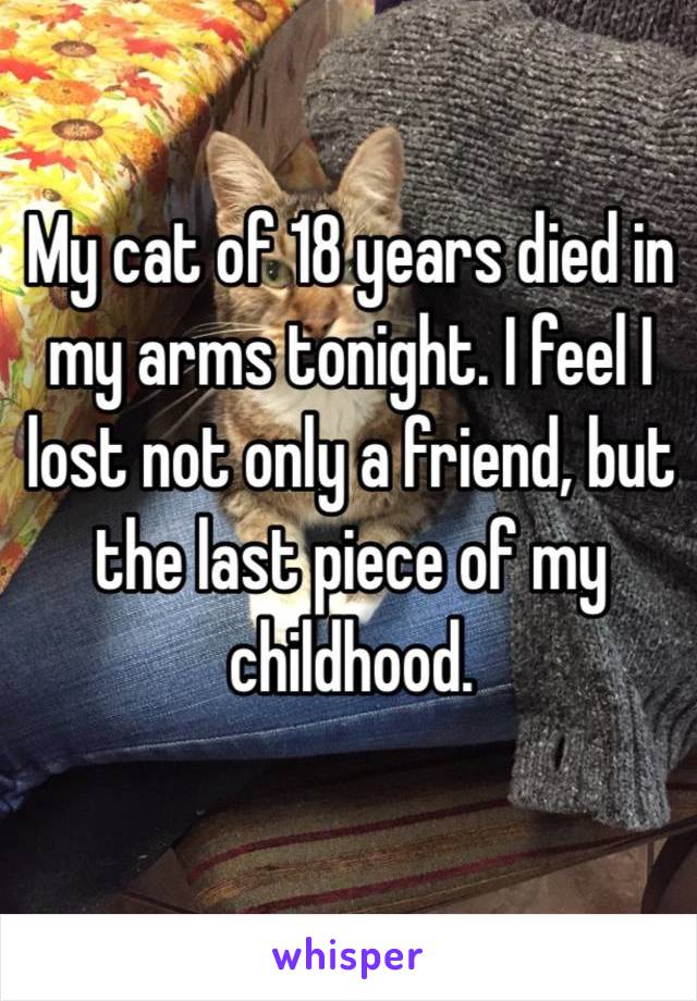 My cat of 18 years died in my arms tonight. I feel I lost not only a friend, but the last piece of my childhood. 