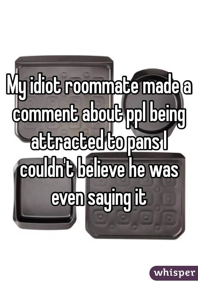 My idiot roommate made a comment about ppl being attracted to pans I couldn't believe he was even saying it 