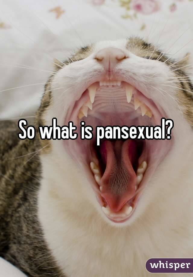 So what is pansexual?