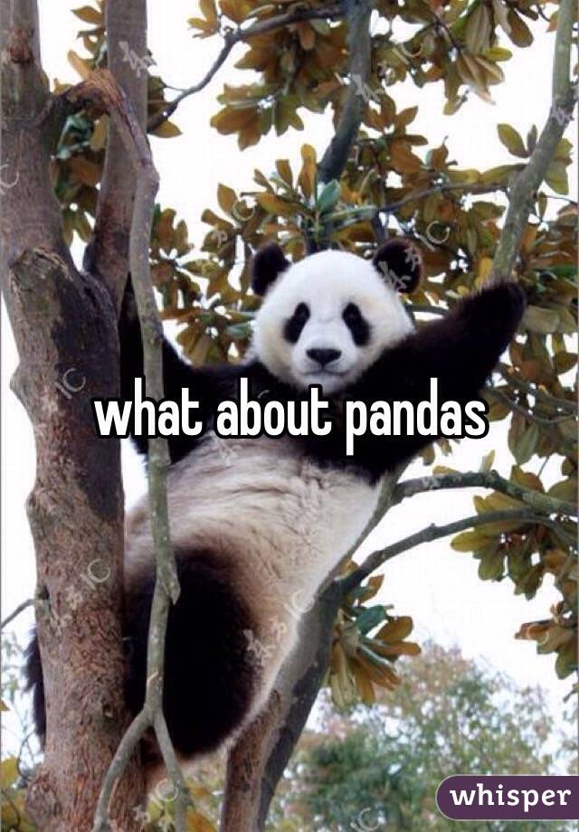 what about pandas 