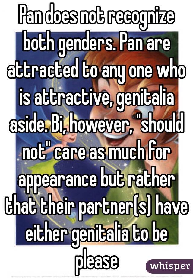 Pan does not recognize both genders. Pan are attracted to any one who is attractive, genitalia aside. Bi, however, "should not" care as much for appearance but rather that their partner(s) have either genitalia to be please 