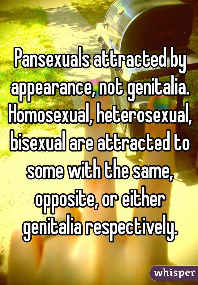 Pansexuals attracted by appearance, not genitalia. Homosexual, heterosexual, bisexual are attracted to some with the same, opposite, or either genitalia respectively.