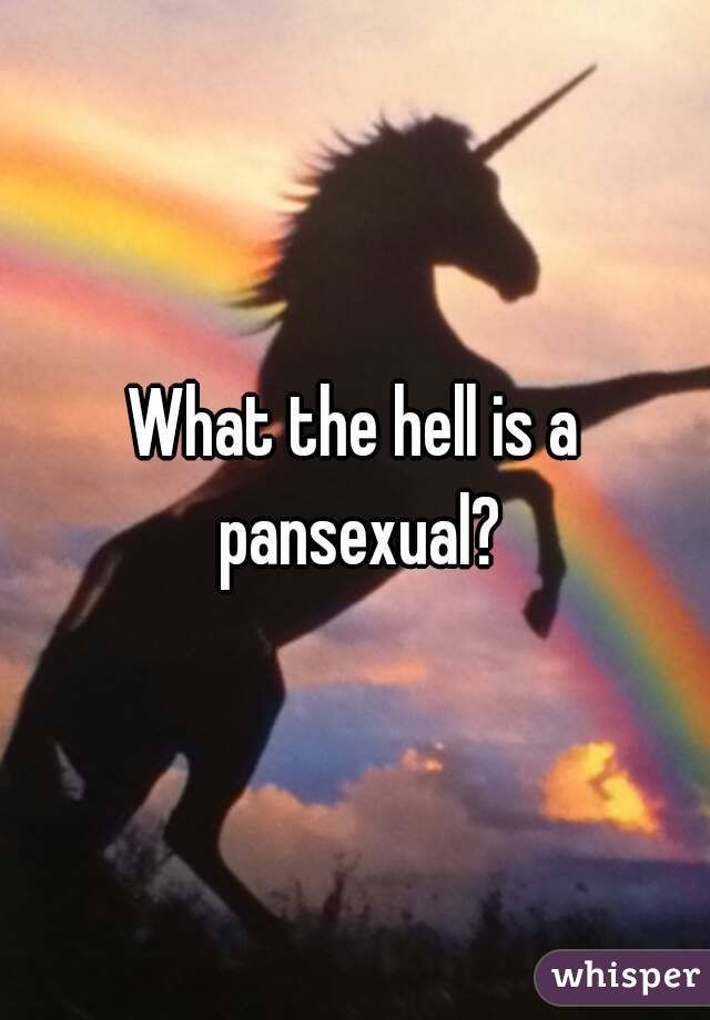 What the hell is a pansexual?
