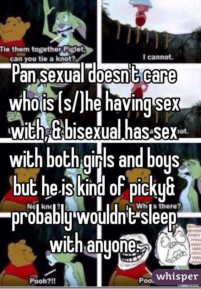 Pan sexual doesn't care who is (s/)he having sex with, & bisexual has sex with both girls and boys but he is kind of picky& probably wouldn't sleep with anyone.