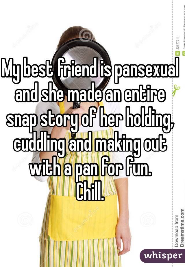 My best friend is pansexual and she made an entire snap story of her holding, cuddling and making out with a pan for fun. 
Chill.