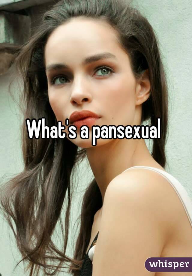 What's a pansexual 