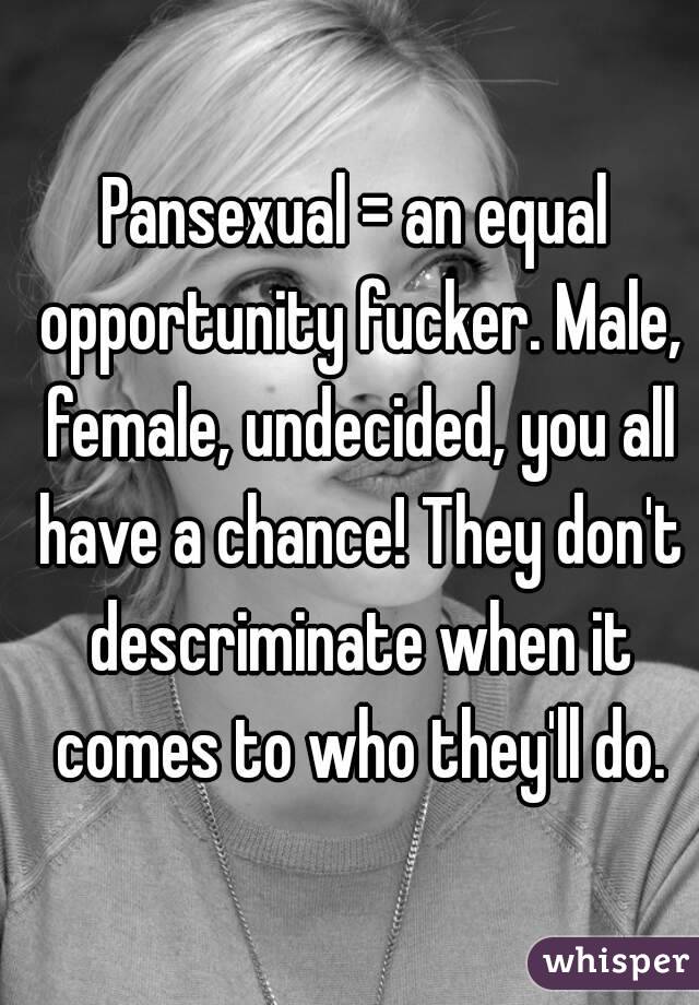 Pansexual = an equal opportunity fucker. Male, female, undecided, you all have a chance! They don't descriminate when it comes to who they'll do.