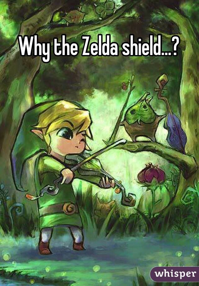 Why the Zelda shield...?