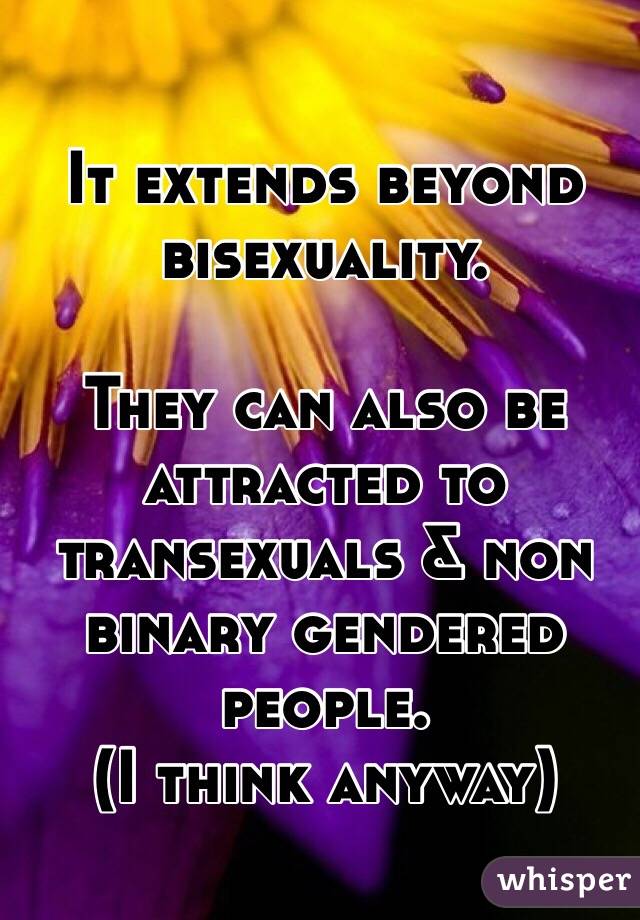 It extends beyond bisexuality. 

They can also be attracted to transexuals & non binary gendered people. 
(I think anyway)