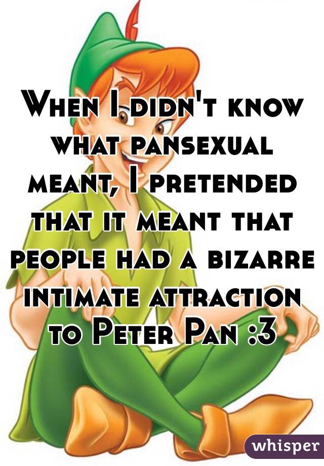 When I didn't know what pansexual meant, I pretended that it meant that people had a bizarre intimate attraction to Peter Pan :3