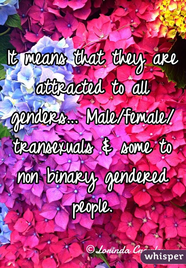 It means that they are attracted to all genders... Male/female/transexuals & some to non binary gendered people.