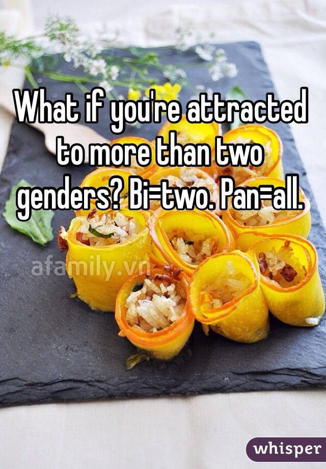 What if you're attracted to more than two genders? Bi=two. Pan=all. 