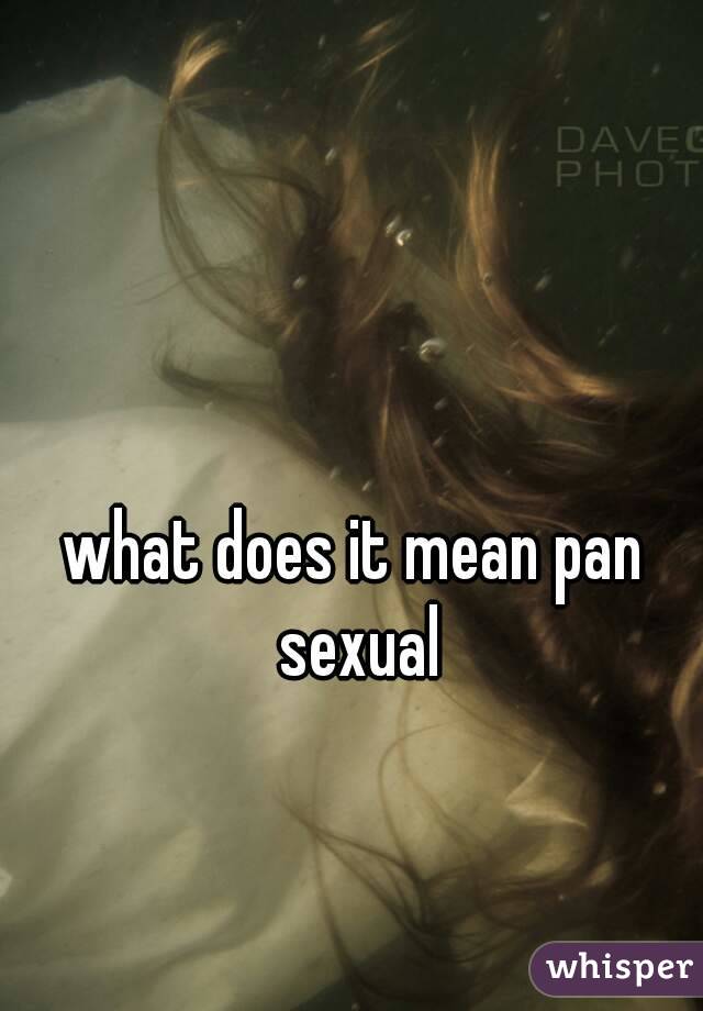 what does it mean pan sexual