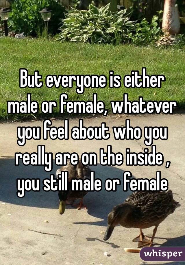 But everyone is either male or female, whatever you feel about who you really are on the inside , you still male or female 