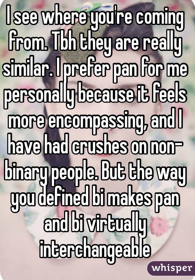 I see where you're coming from. Tbh they are really similar. I prefer pan for me personally because it feels more encompassing, and I have had crushes on non-binary people. But the way you defined bi makes pan and bi virtually interchangeable 