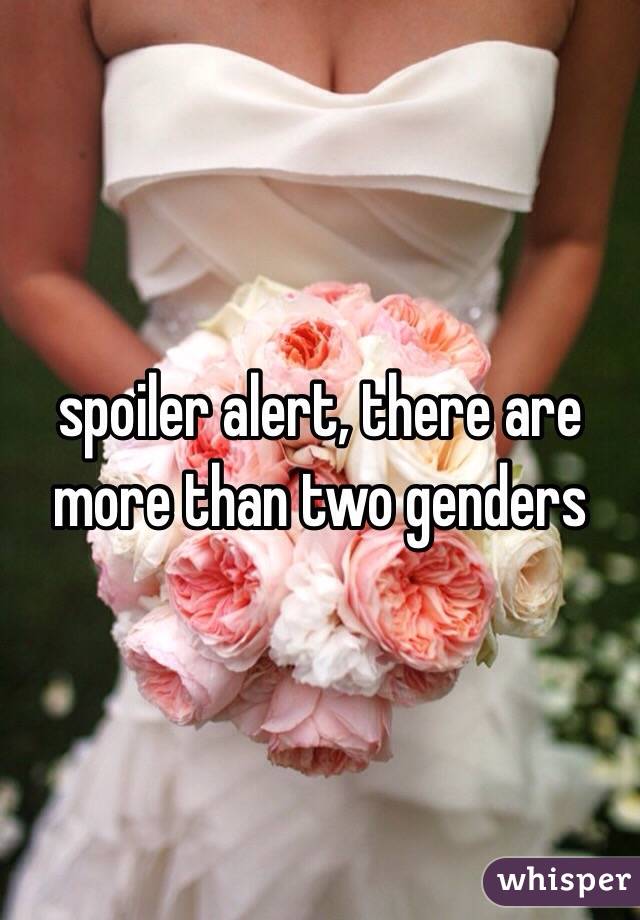 spoiler alert, there are more than two genders