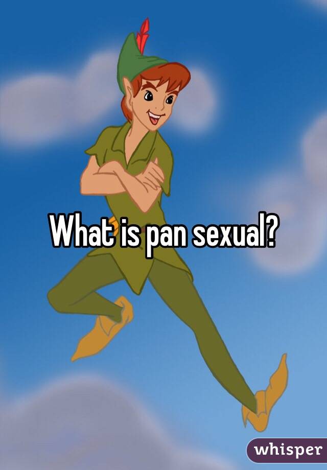 What is pan sexual?