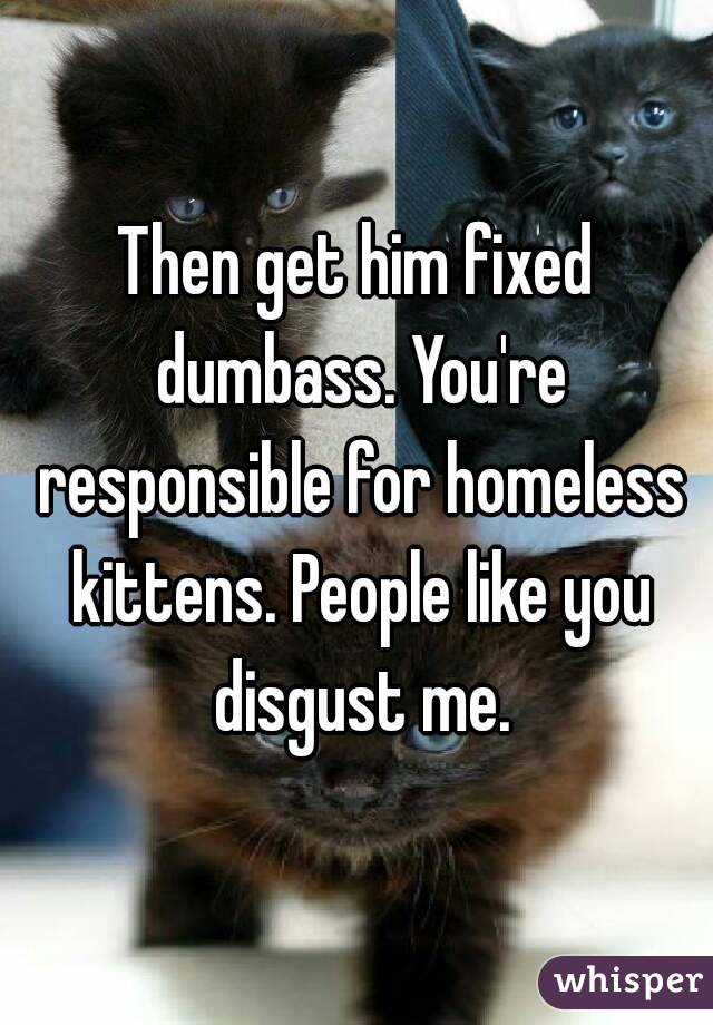 Then get him fixed dumbass. You're responsible for homeless kittens. People like you disgust me.