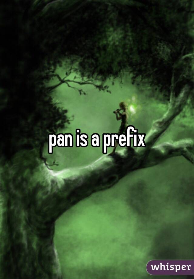 pan is a prefix