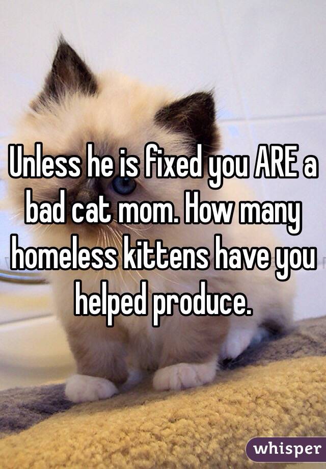 Unless he is fixed you ARE a bad cat mom. How many homeless kittens have you helped produce. 
