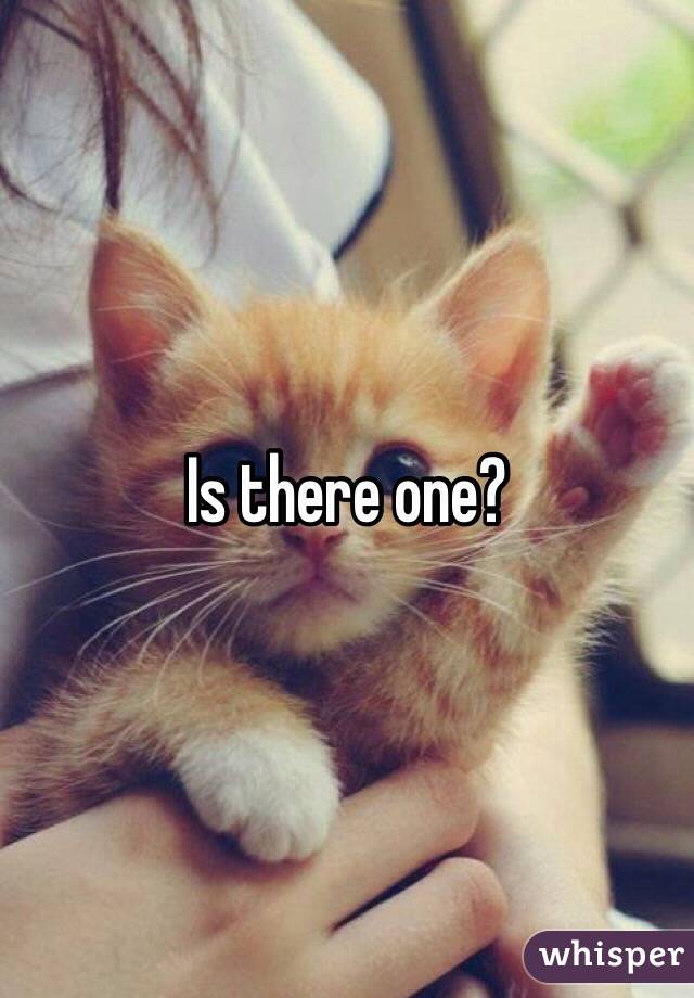 Is there one?