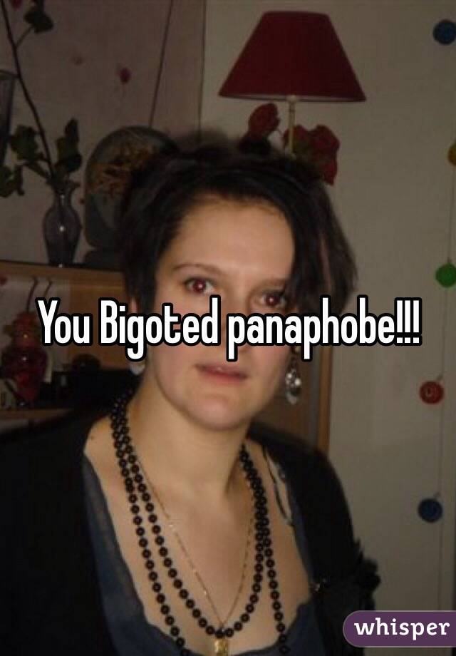 You Bigoted panaphobe!!!