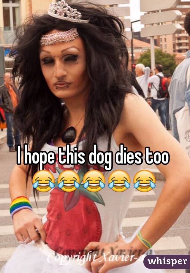 I hope this dog dies too
😂😂😂😂😂