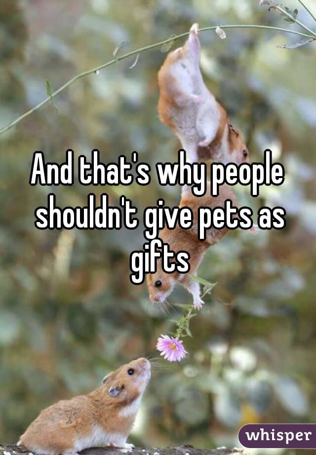 And that's why people shouldn't give pets as gifts