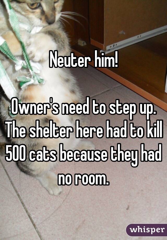 Neuter him! 

Owner's need to step up. The shelter here had to kill 500 cats because they had no room. 
