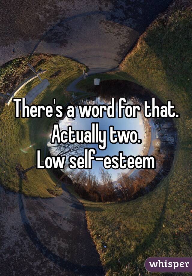 There's a word for that.  Actually two.  
Low self-esteem 
