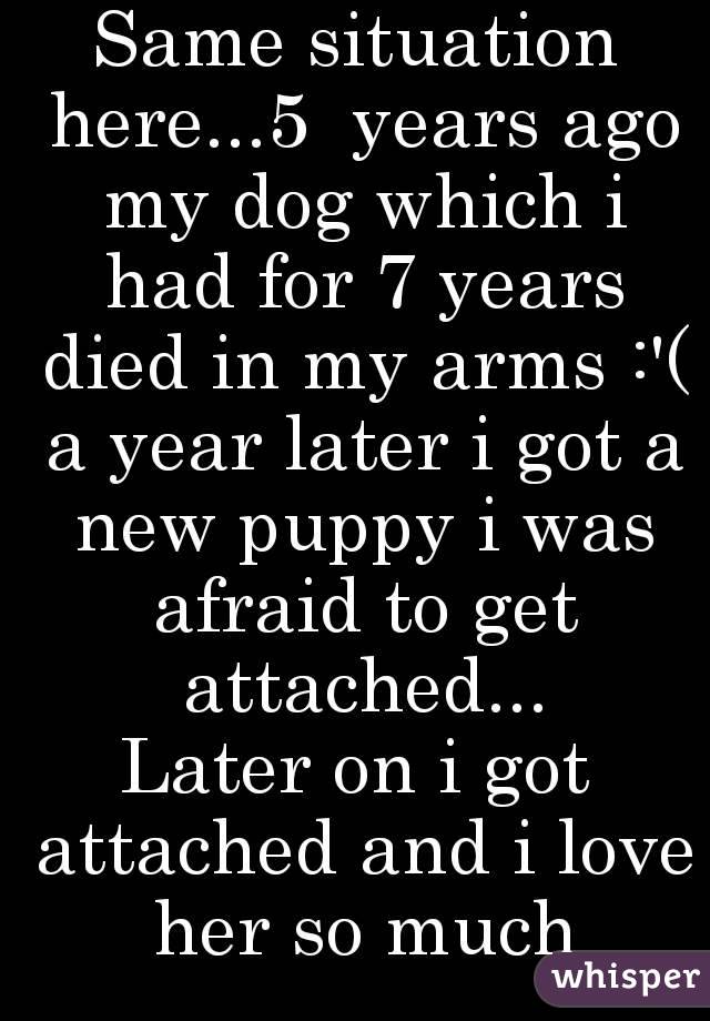 Same situation here...5  years ago my dog which i had for 7 years died in my arms :'( a year later i got a new puppy i was afraid to get attached...
Later on i got attached and i love her so much