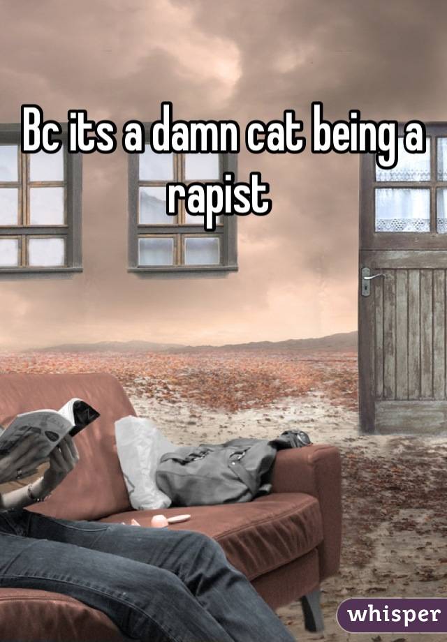 Bc its a damn cat being a rapist 