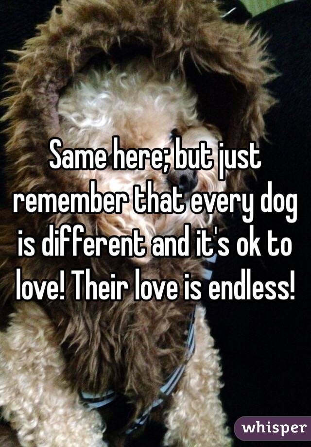 Same here; but just remember that every dog is different and it's ok to love! Their love is endless! 