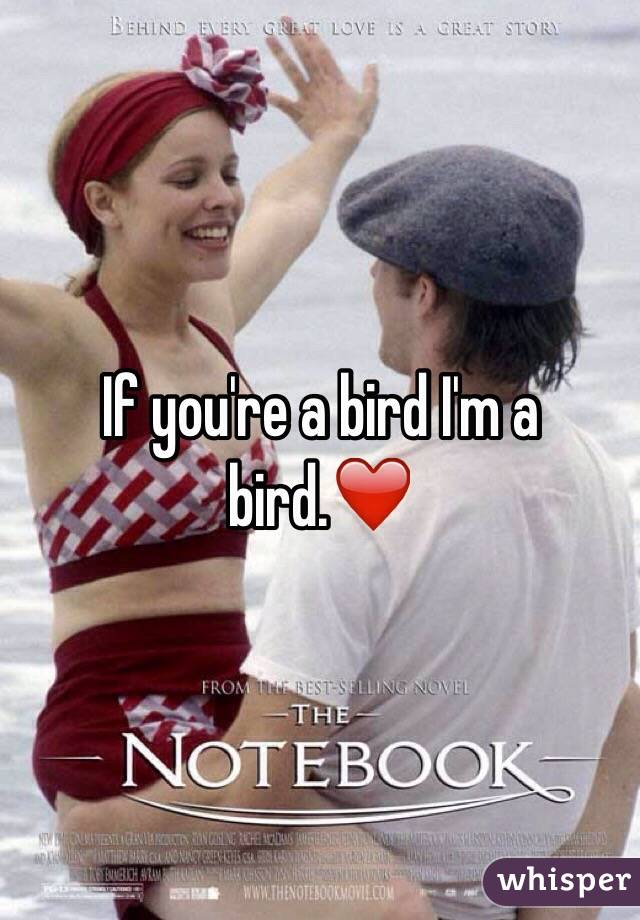 If you're a bird I'm a bird.❤️
