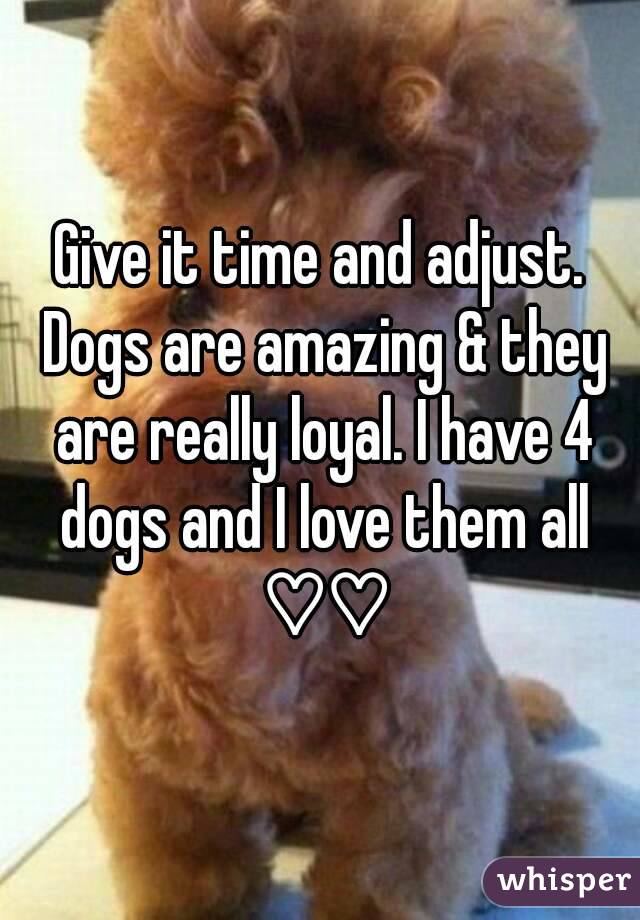 Give it time and adjust. Dogs are amazing & they are really loyal. I have 4 dogs and I love them all ♡♡