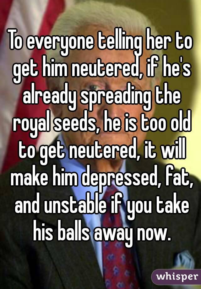 To everyone telling her to get him neutered, if he's already spreading the royal seeds, he is too old to get neutered, it will make him depressed, fat, and unstable if you take his balls away now.