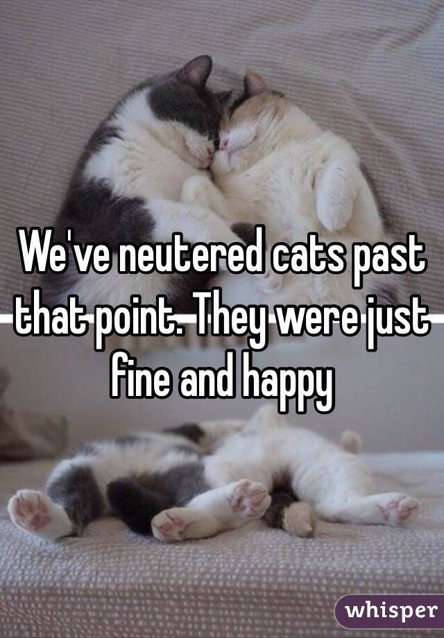We've neutered cats past that point. They were just fine and happy