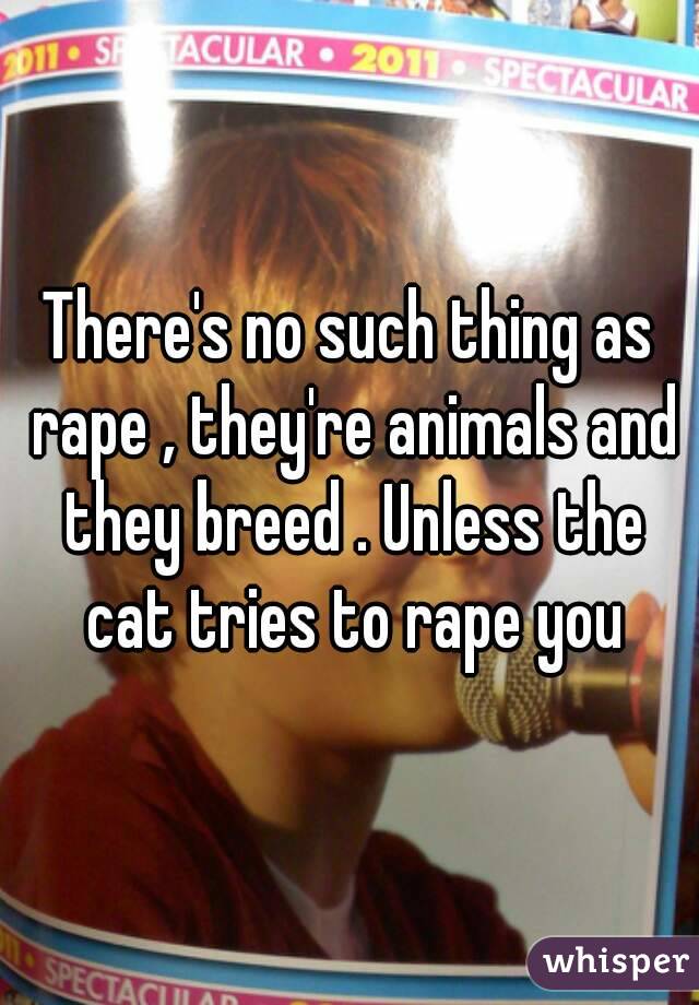 There's no such thing as rape , they're animals and they breed . Unless the cat tries to rape you