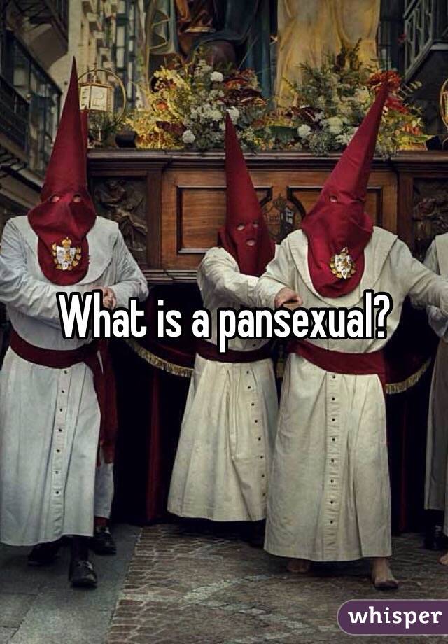 What is a pansexual? 