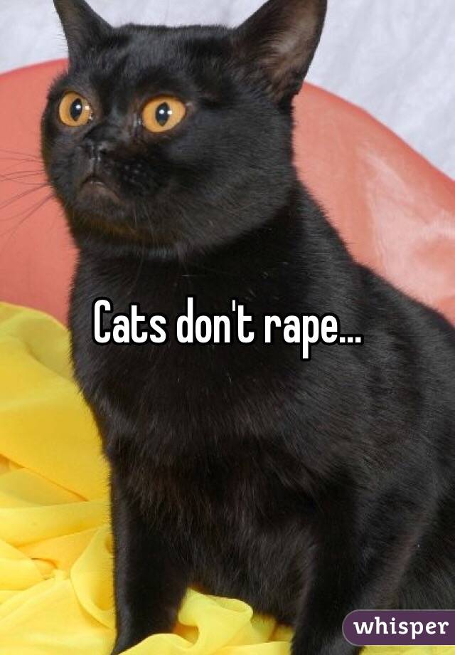 Cats don't rape...