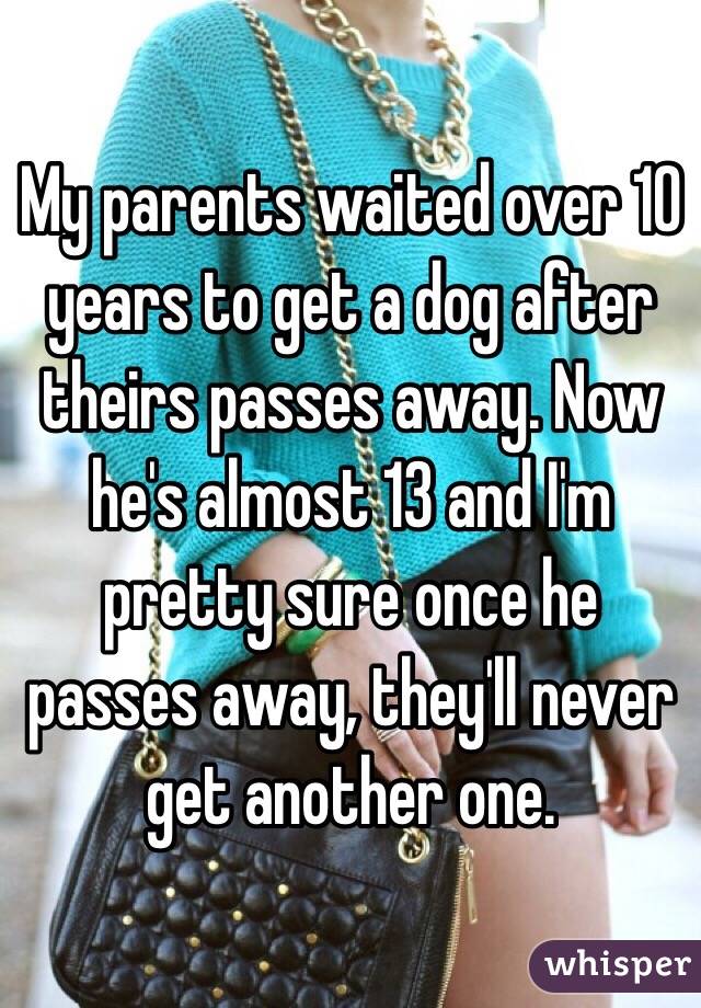 My parents waited over 10 years to get a dog after theirs passes away. Now he's almost 13 and I'm pretty sure once he passes away, they'll never get another one. 