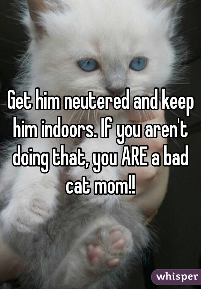Get him neutered and keep him indoors. If you aren't doing that, you ARE a bad cat mom!!