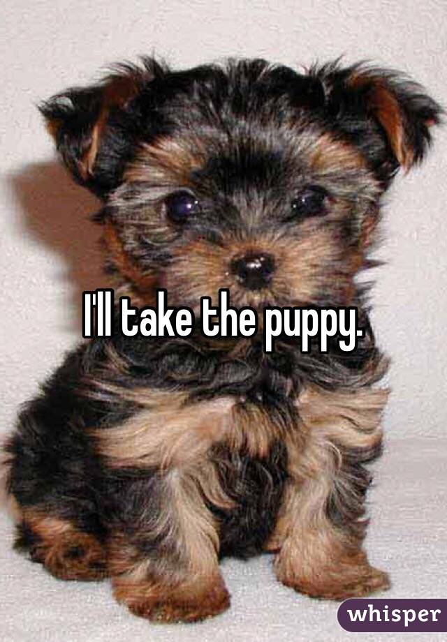 I'll take the puppy. 