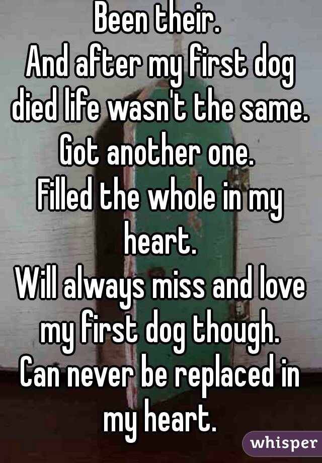 Been their. 
And after my first dog died life wasn't the same. 
Got another one. 
Filled the whole in my heart. 
Will always miss and love my first dog though. 
Can never be replaced in my heart. 