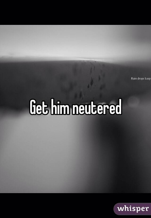 Get him neutered 